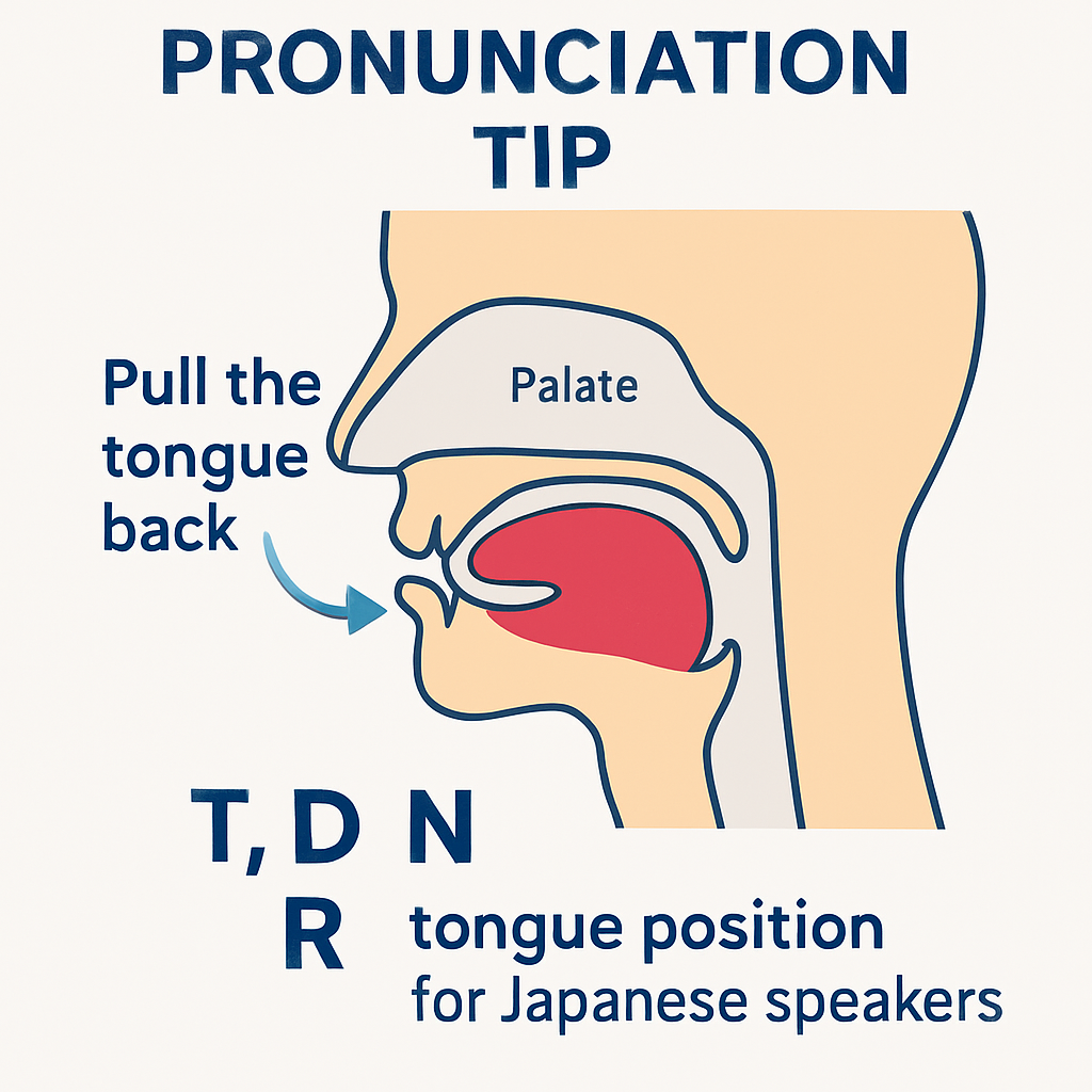 【驚きのコツ】英語発音が劇的に変わる!見落とされがちな「舌の位置」とは?